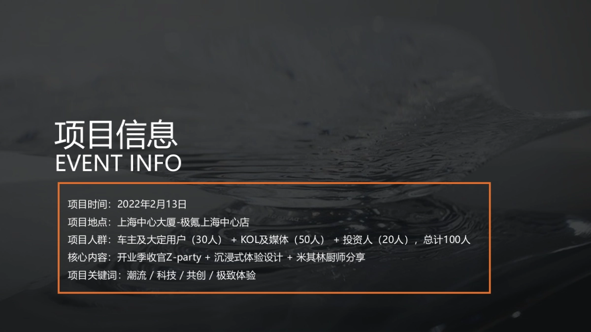 极氪汽车上海中心店开业收官活动及异业合作策划方案-60P_第4页