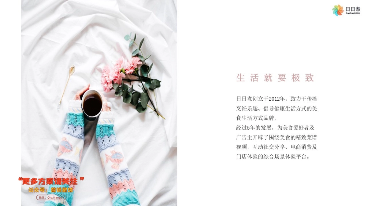 日日煮 品牌宣传片合作方案_第3页