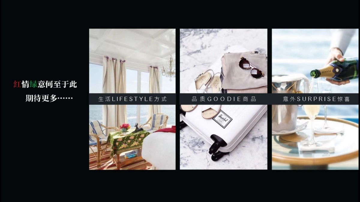 寺库 x 柏品合作方案_第4页