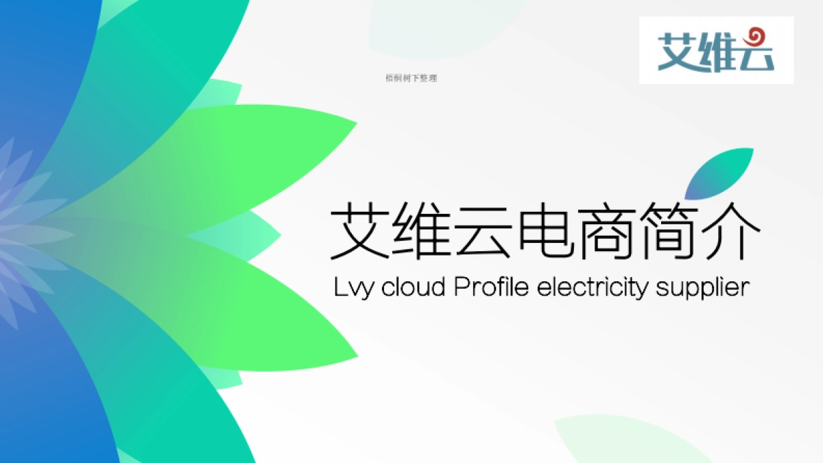 艾维云商业计划书_第4页