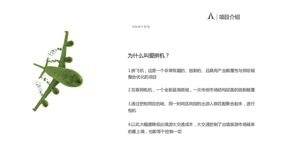 爱拼机商业计划书_第2页