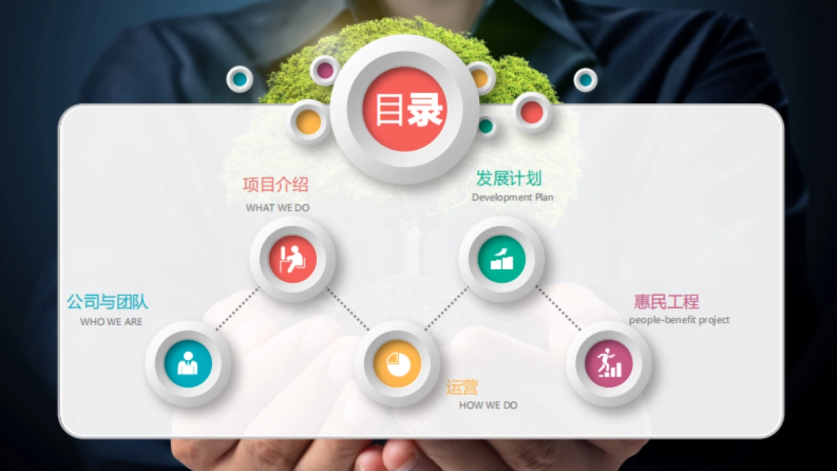 百鲜网商业计划书_第3页