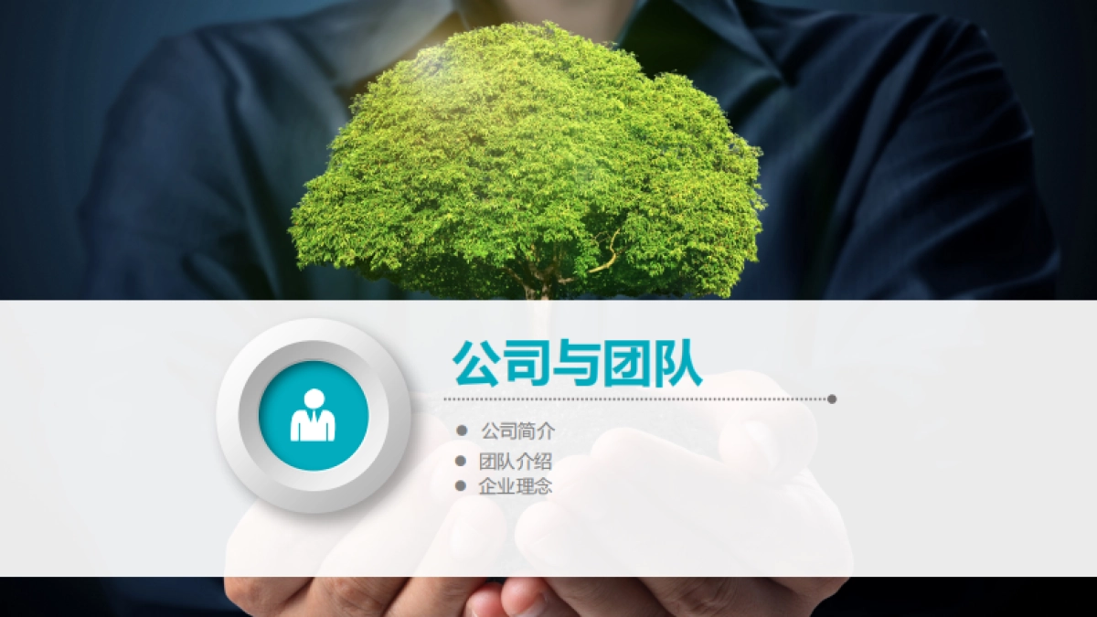 百鲜网商业计划书_第4页