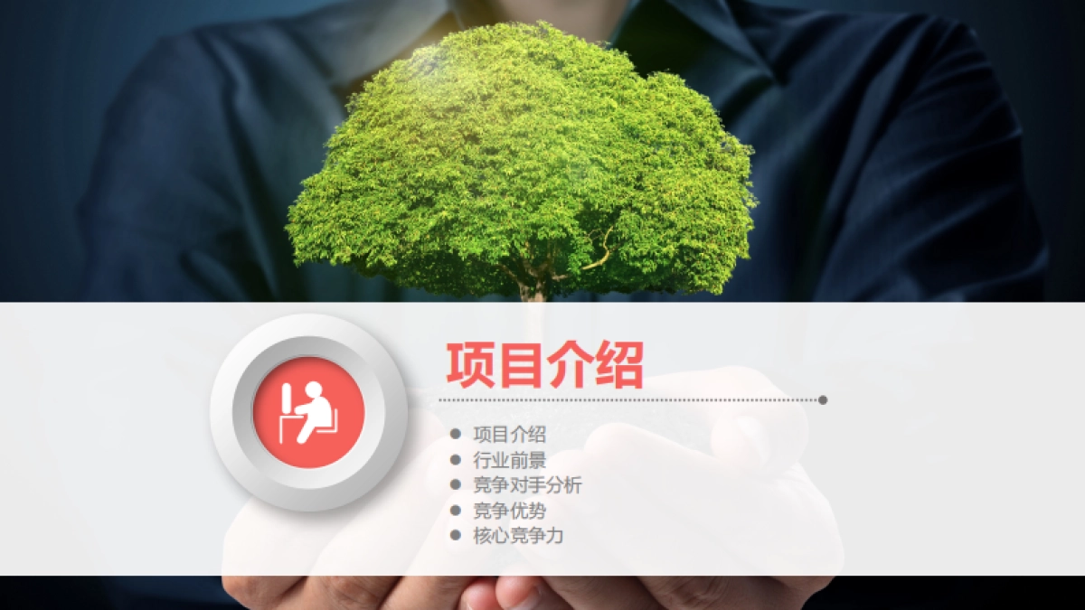 百鲜网商业计划书_第8页