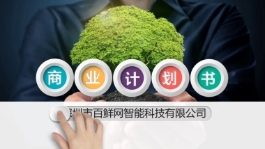 百鲜网商业计划书
