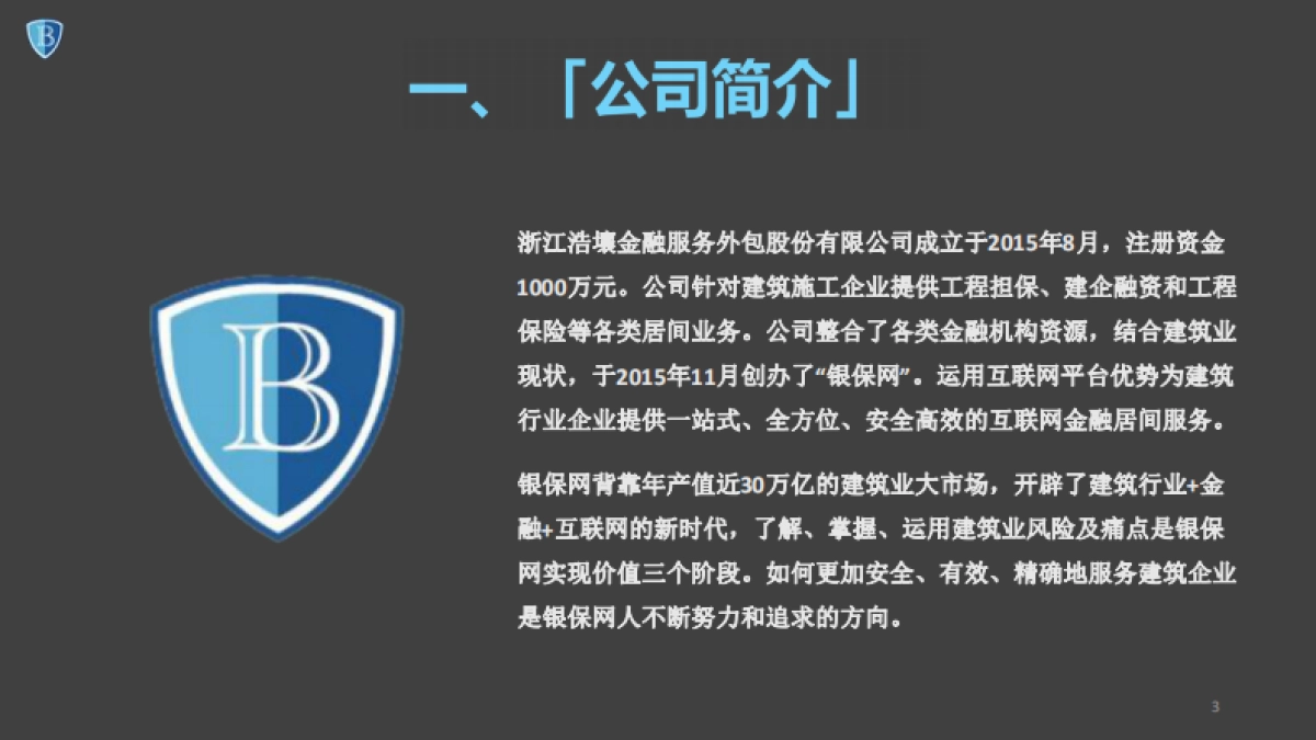 [银保网]商业计划书_第3页