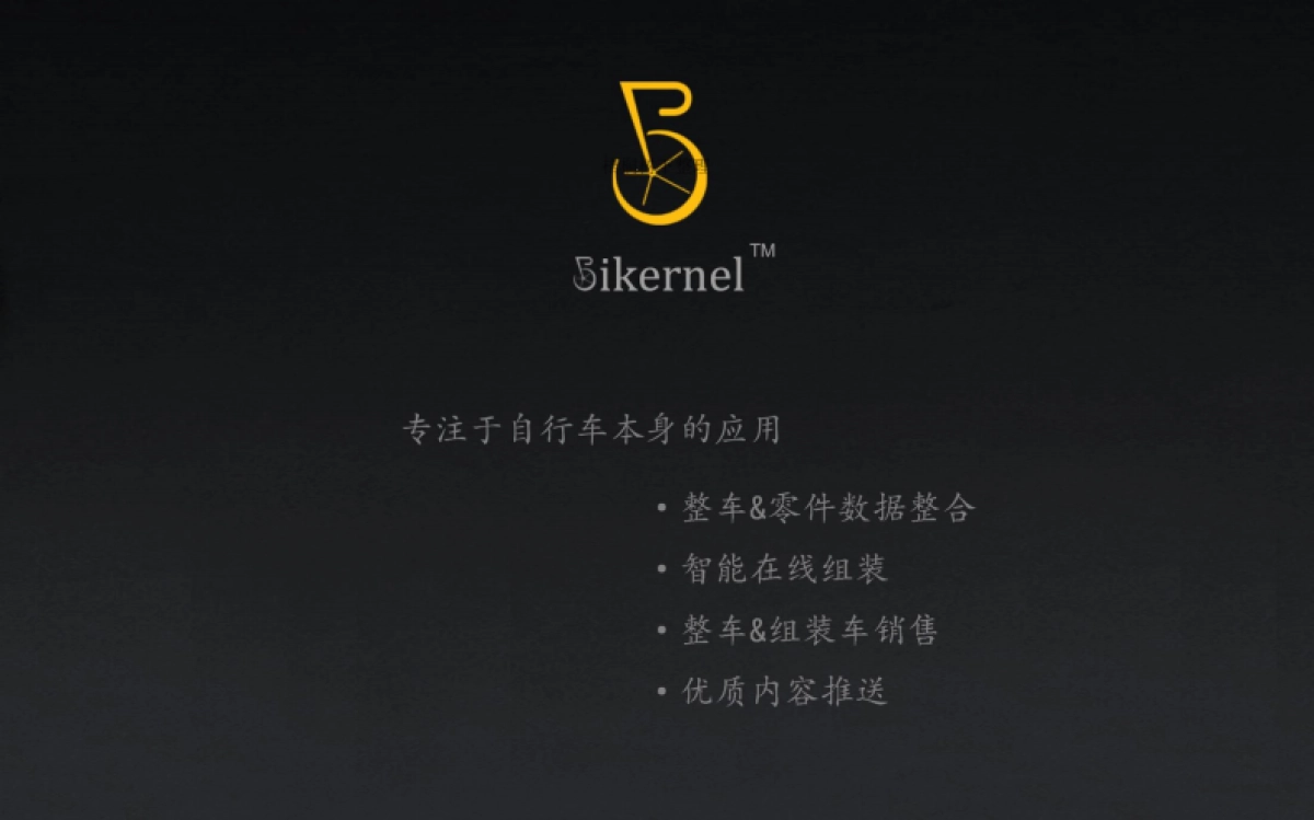 Bikernel商业计划书_第2页