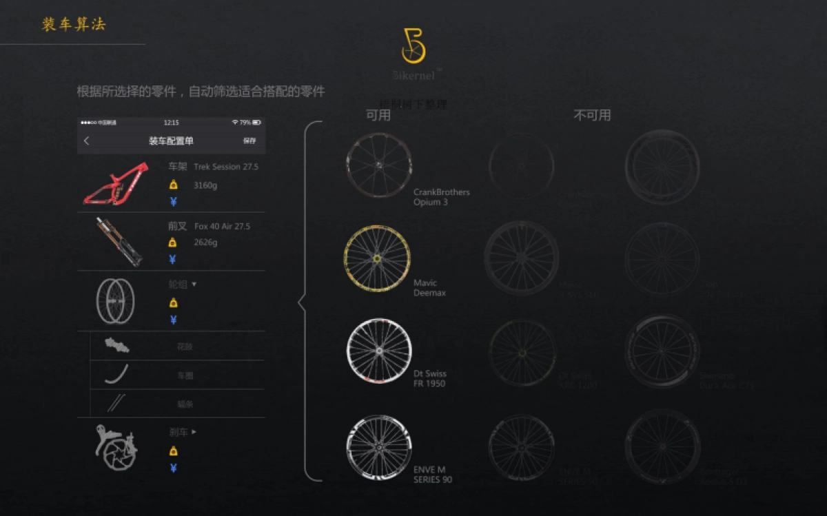 Bikernel商业计划书_第8页