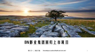 BN影业集团基金招募. 商业计划书