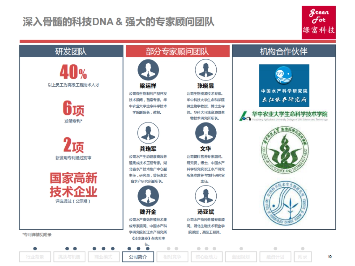 BP绿富科技_第10页