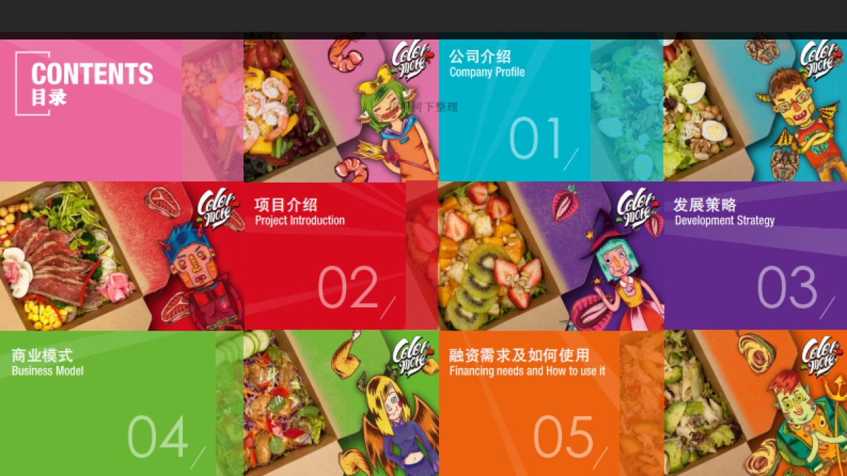 Colormore商业计划书_第2页