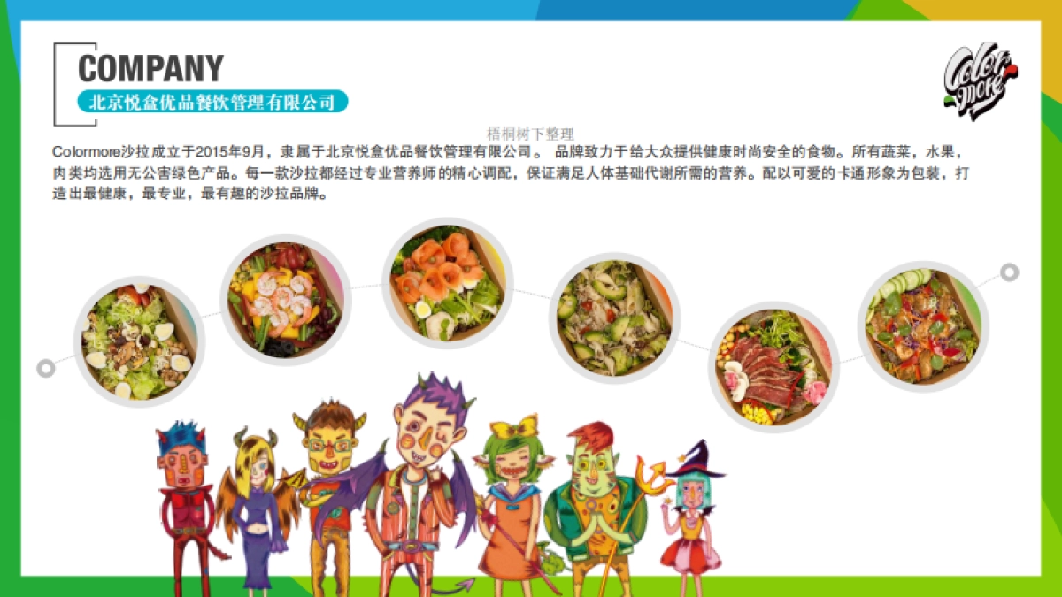 Colormore商业计划书_第4页