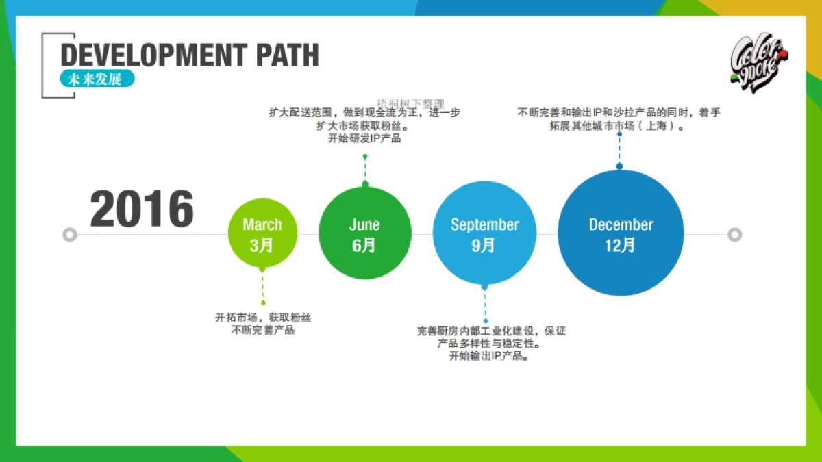 Colormore商业计划书_第6页