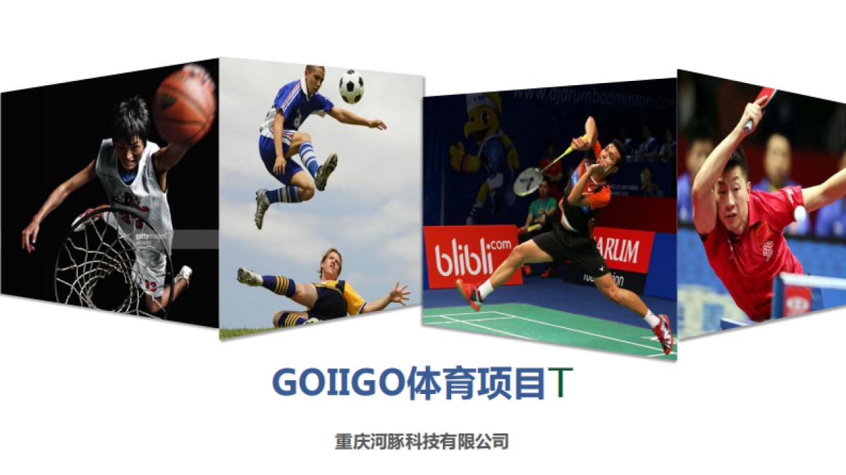 goiigo体育项目商业计划书_第1页