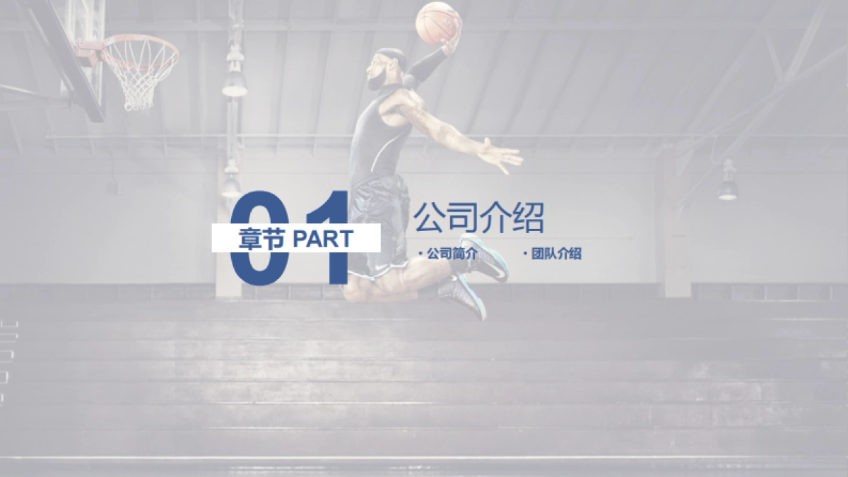 goiigo体育项目商业计划书_第3页