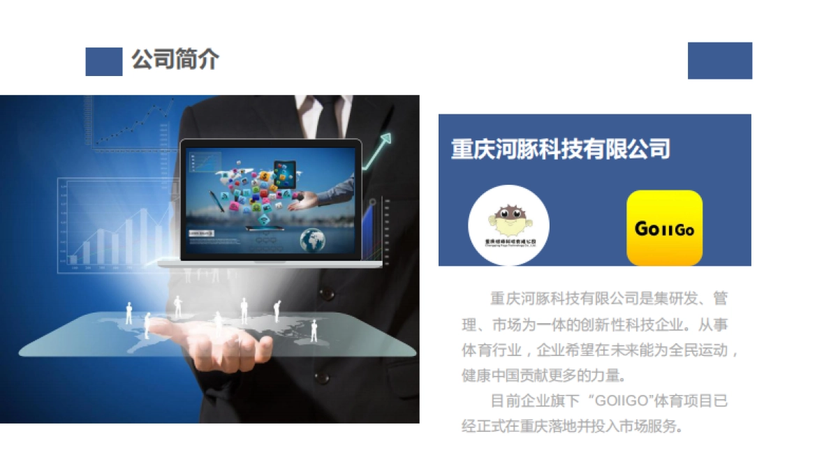 goiigo体育项目商业计划书_第4页