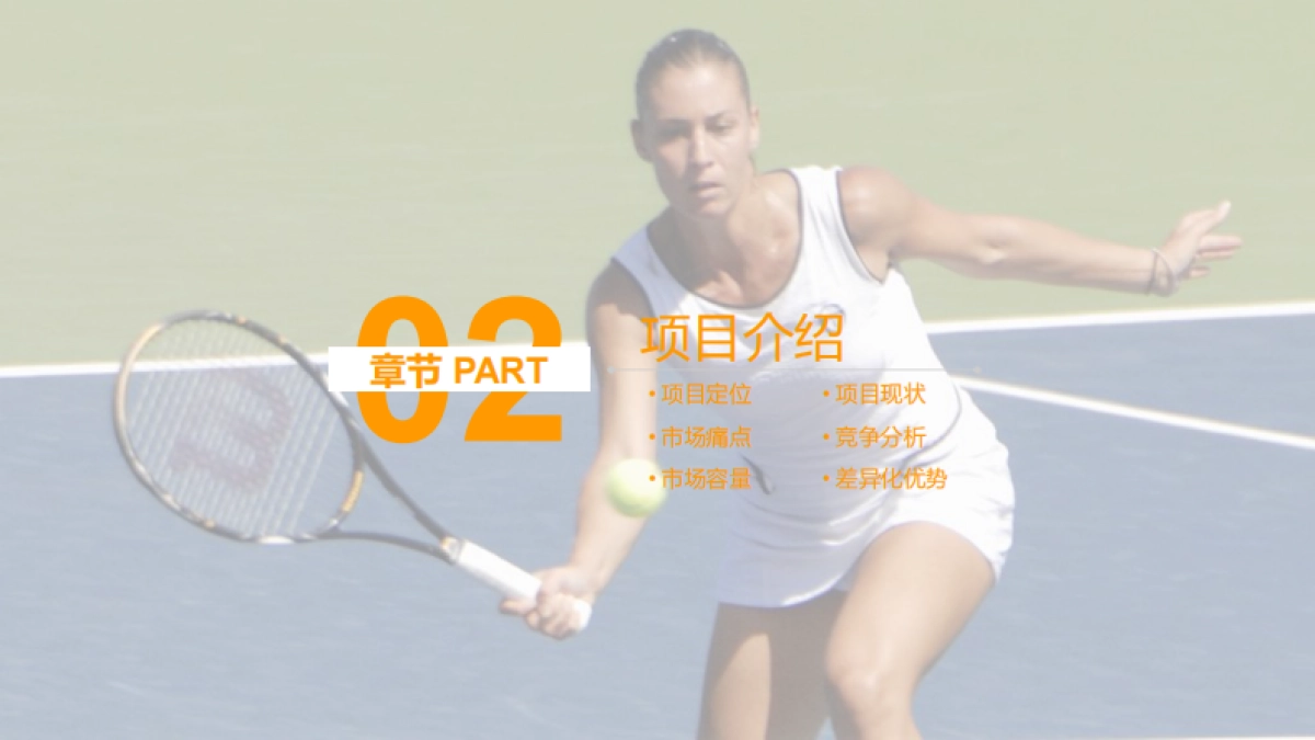 goiigo体育项目商业计划书_第8页