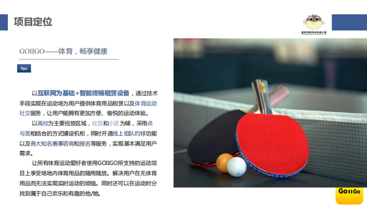 goiigo体育项目商业计划书_第9页