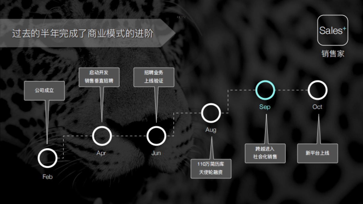 Sales+ 销售家 共享经济的社会化销售 商业计划书_第7页