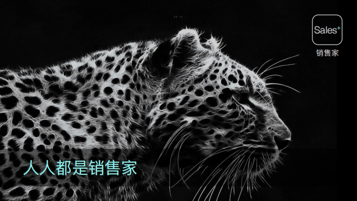 Sales+ 销售家-基于共享经济的社会化销售商业计划书_第1页