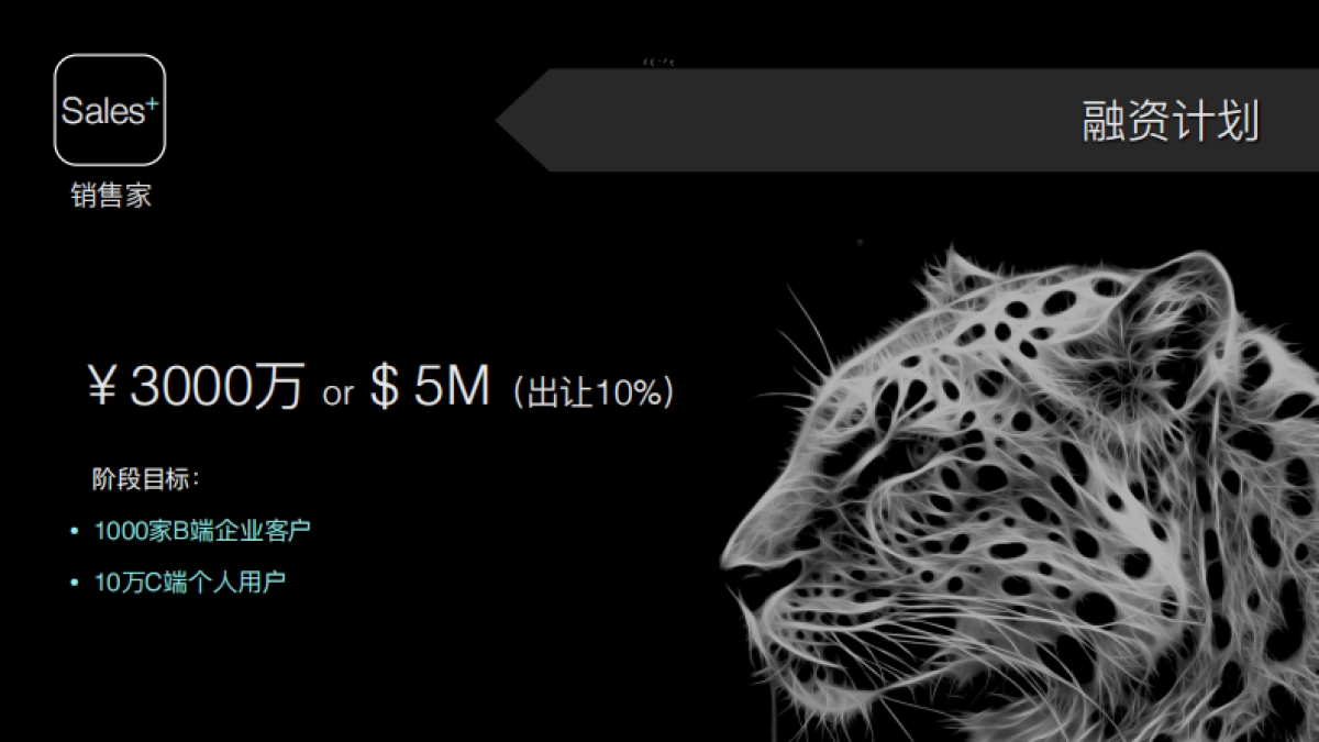 Sales+ 销售家-基于共享经济的社会化销售商业计划书_第9页