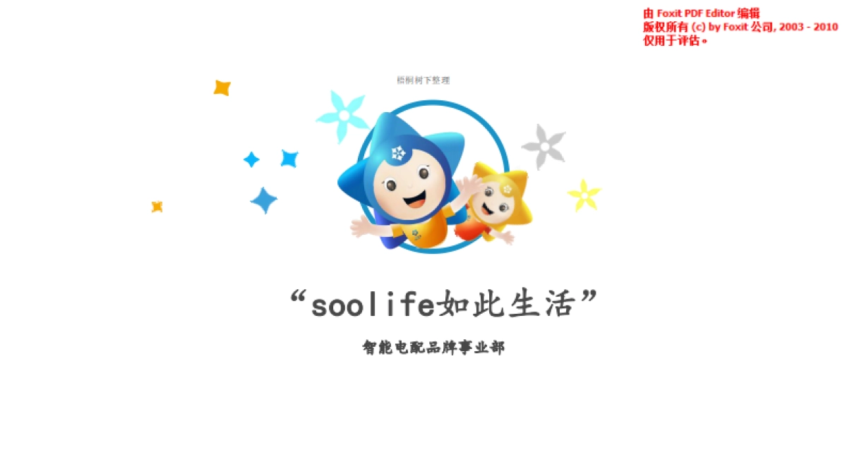 soolife如此生活商业计划书_第1页