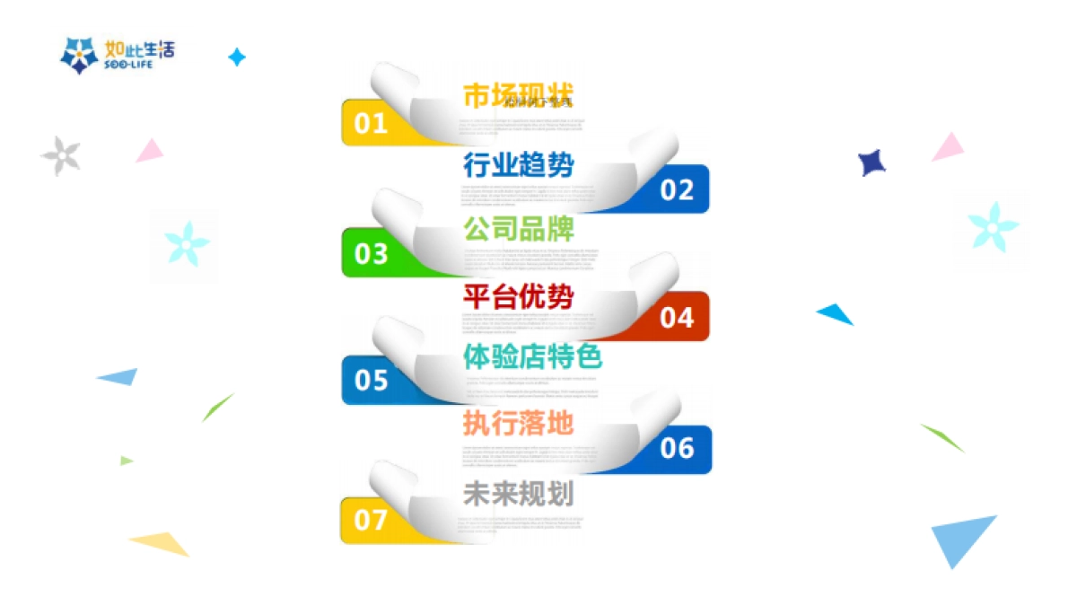soolife如此生活商业计划书_第2页