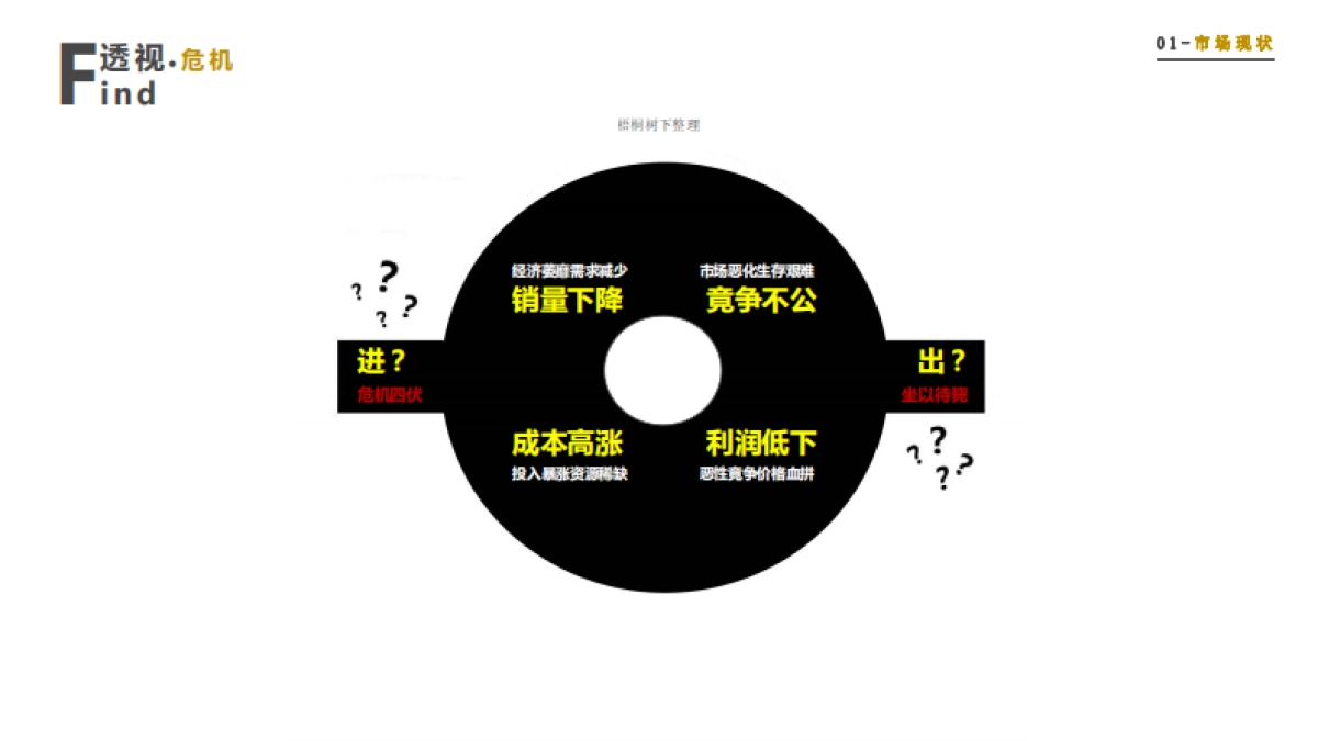 soolife如此生活商业计划书_第4页