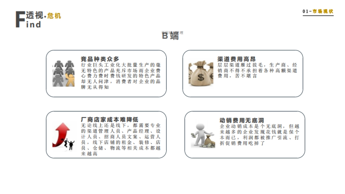 soolife如此生活商业计划书_第5页