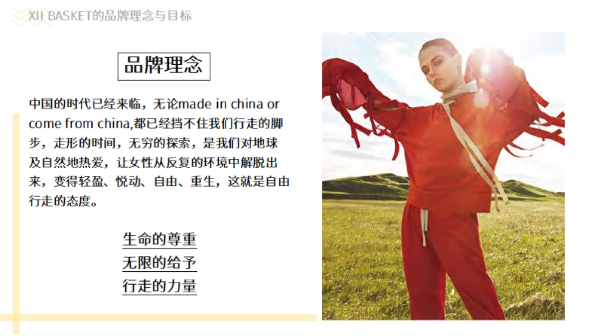 XII BASKET十二篮商业陈列分析_第7页