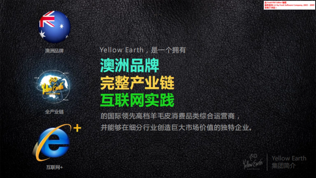 YellowEarth商业计划书_第2页