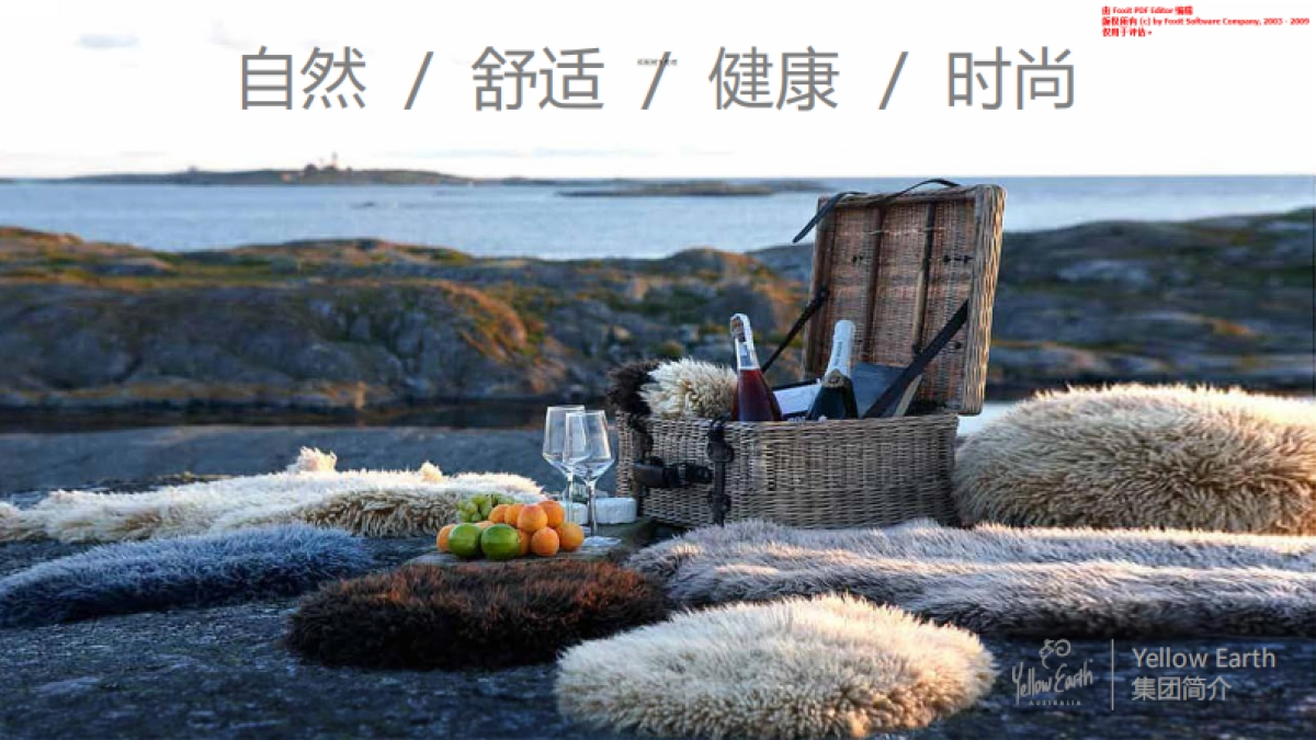 YellowEarth商业计划书_第6页