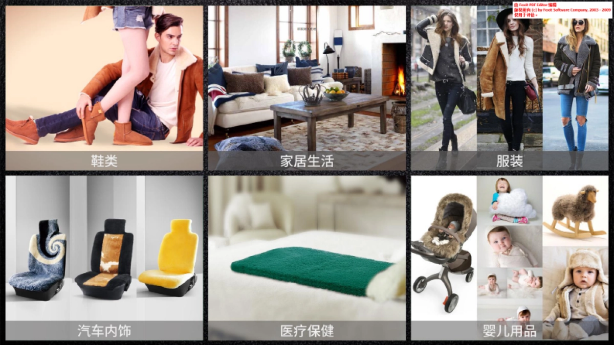 YellowEarth商业计划书_第7页