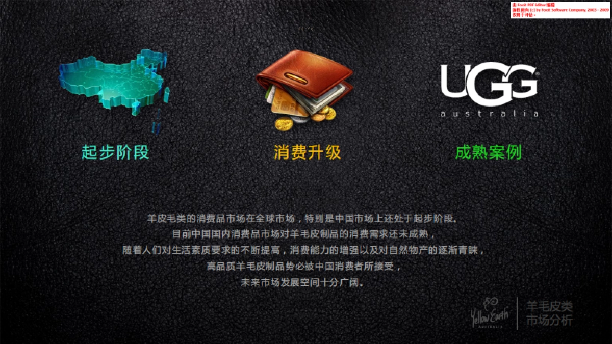 YellowEarth商业计划书_第9页