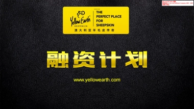 YellowEarth商业计划书