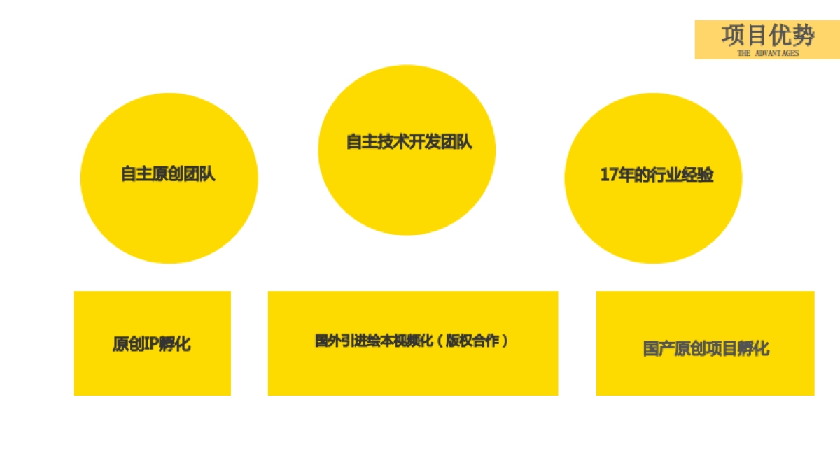 YOYO熊项目BP-s_第9页