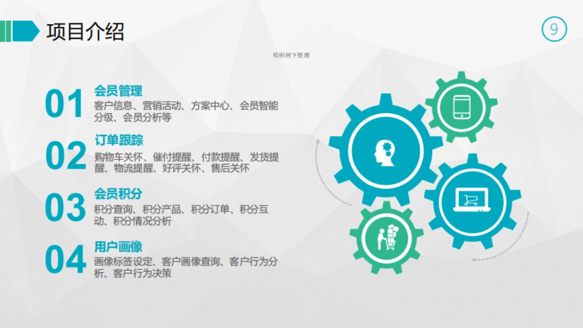 北京明君科技发展有限公司商业计划书_第9页