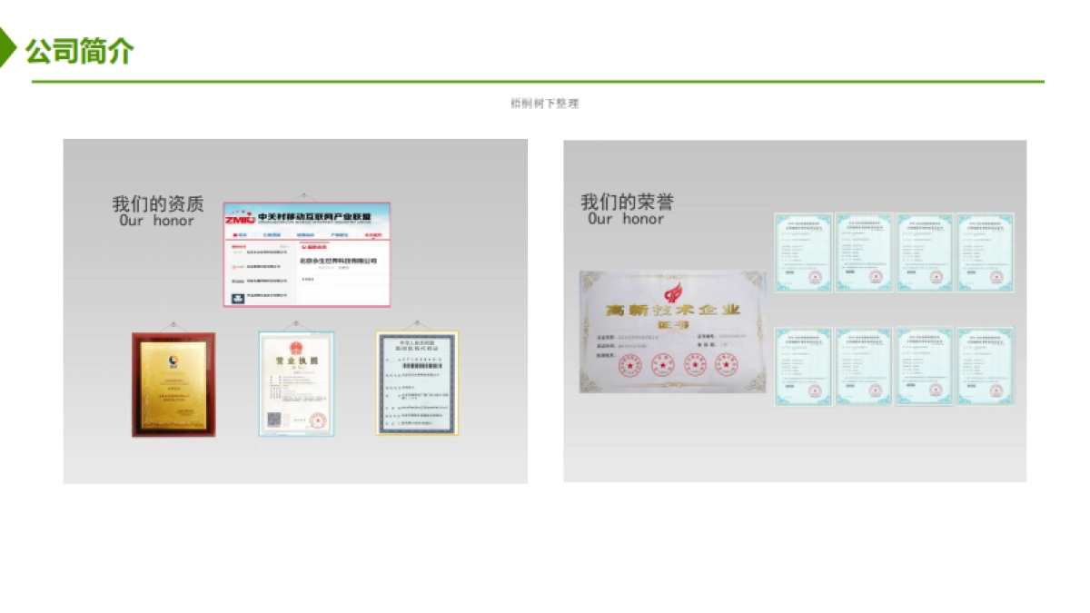 北京永生世界科技有限公司商业计划书_第6页