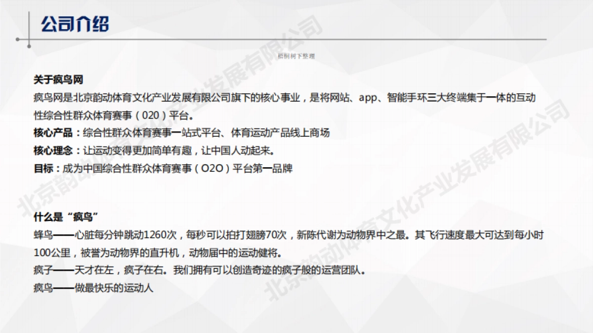 北京韵动体育文化产业发展有限公司商业计划书_第3页