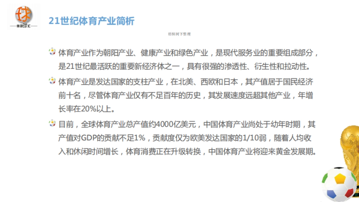 北京足球装备与文化传播商业计划书_第4页