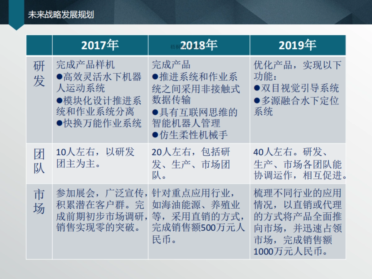 便携式多功能水下机器人商业计划书_第10页