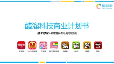 楚楚街商业计划书