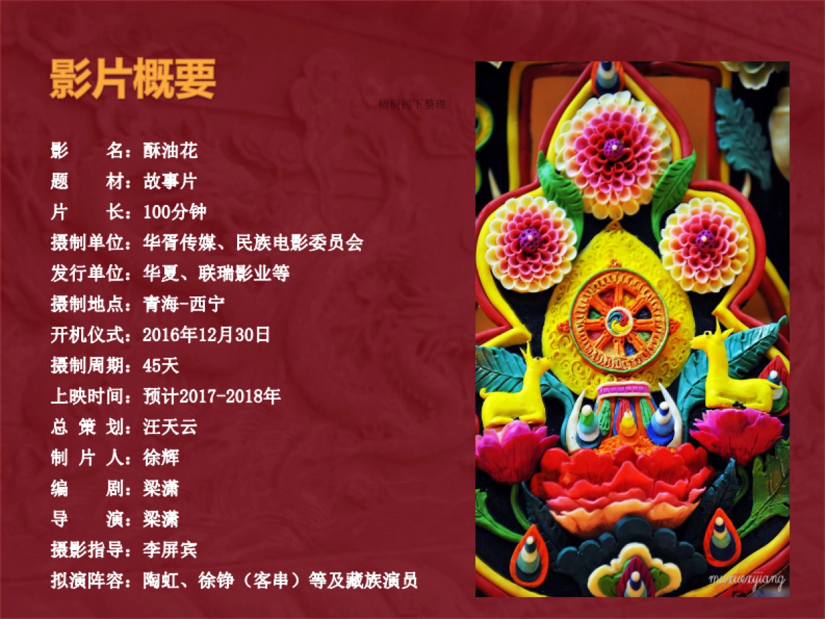 电影《酥油花》商业计划书_第2页