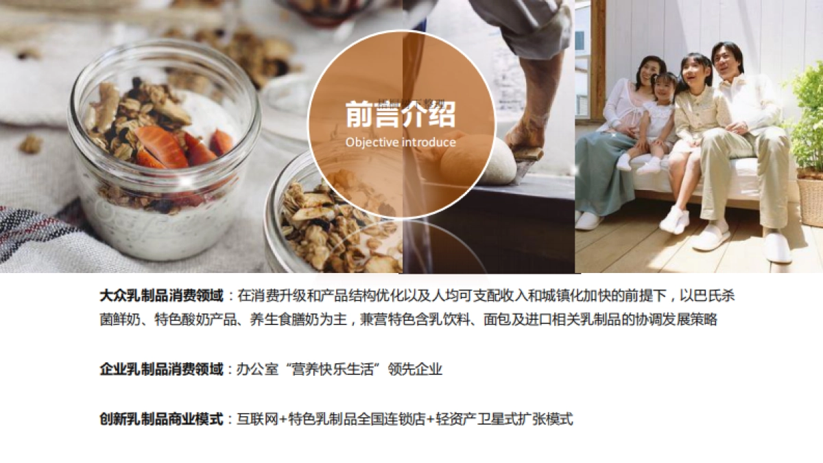 丰优百商业计划书_第2页