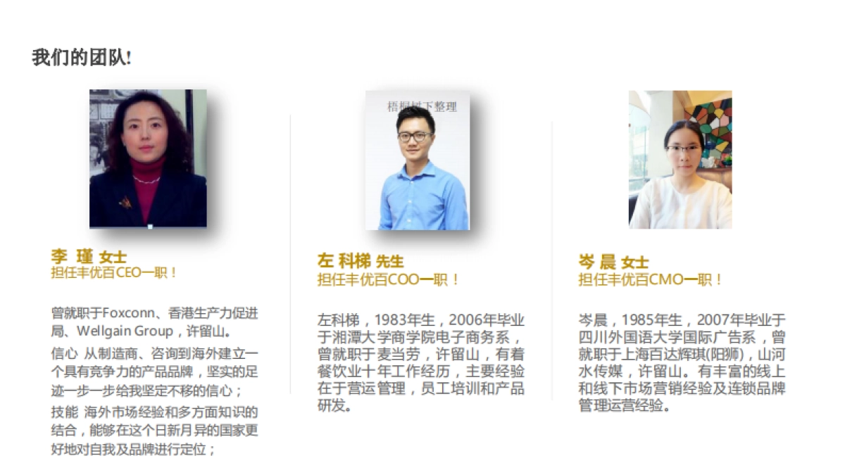 丰优百商业计划书_第4页