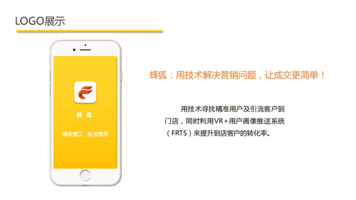 蜂狐项目商业计划书1.1_第2页