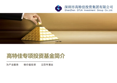 高特佳ZT专项投资基金_看图王商业计划书