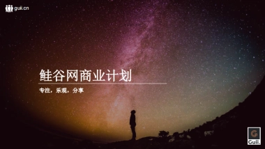 鲑谷网商业计划书