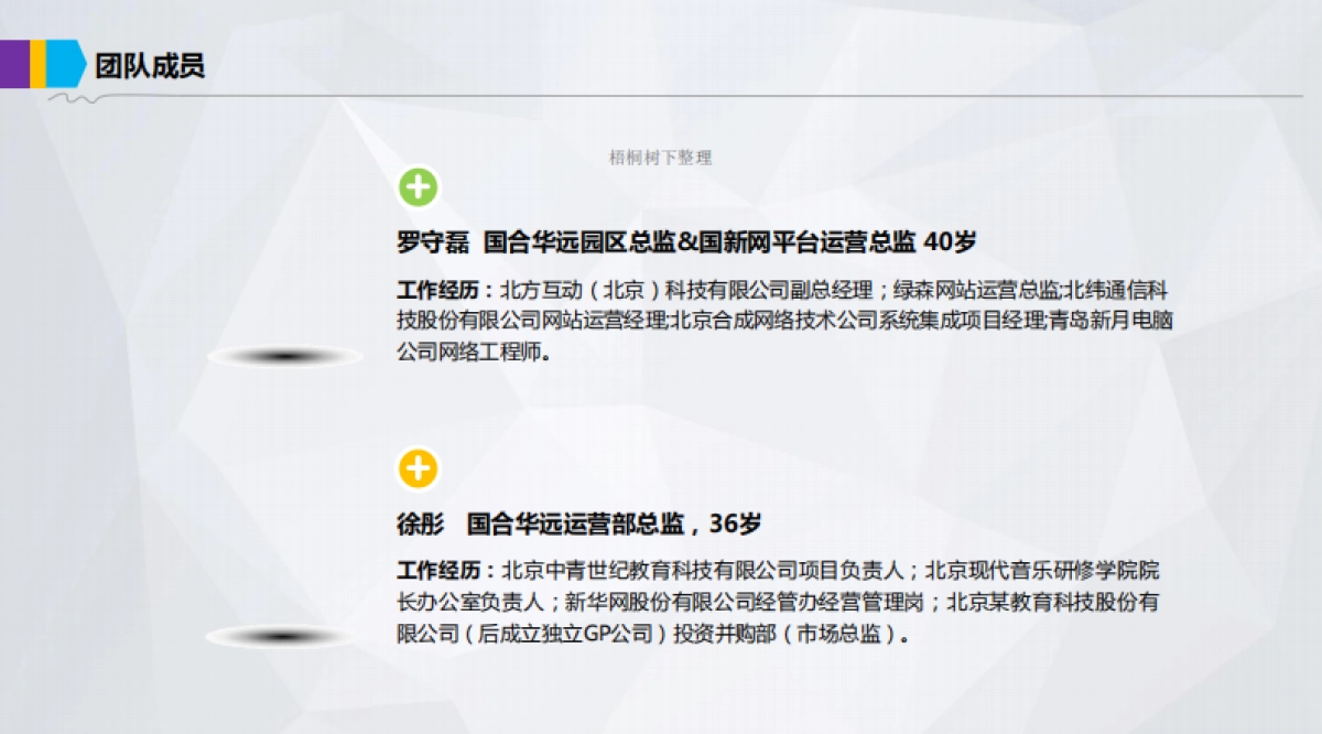 国合华远-国新网项目商业计划书_第10页