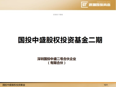 国投中盛股权投资基金二期商业计划书